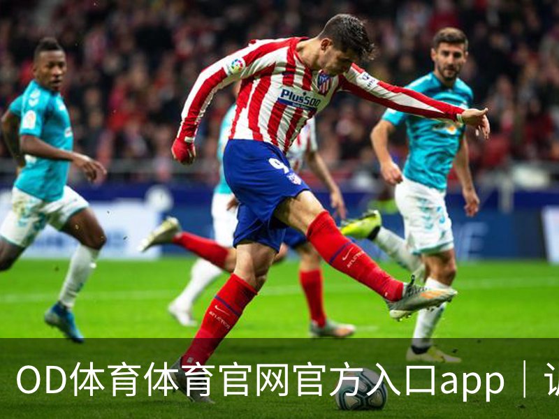 OD体育体育官网官方入口app｜训练服务品牌故事